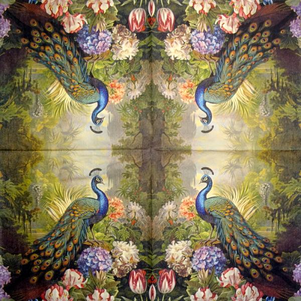 001 Peacock - 3-ply - Adriana Cirstea